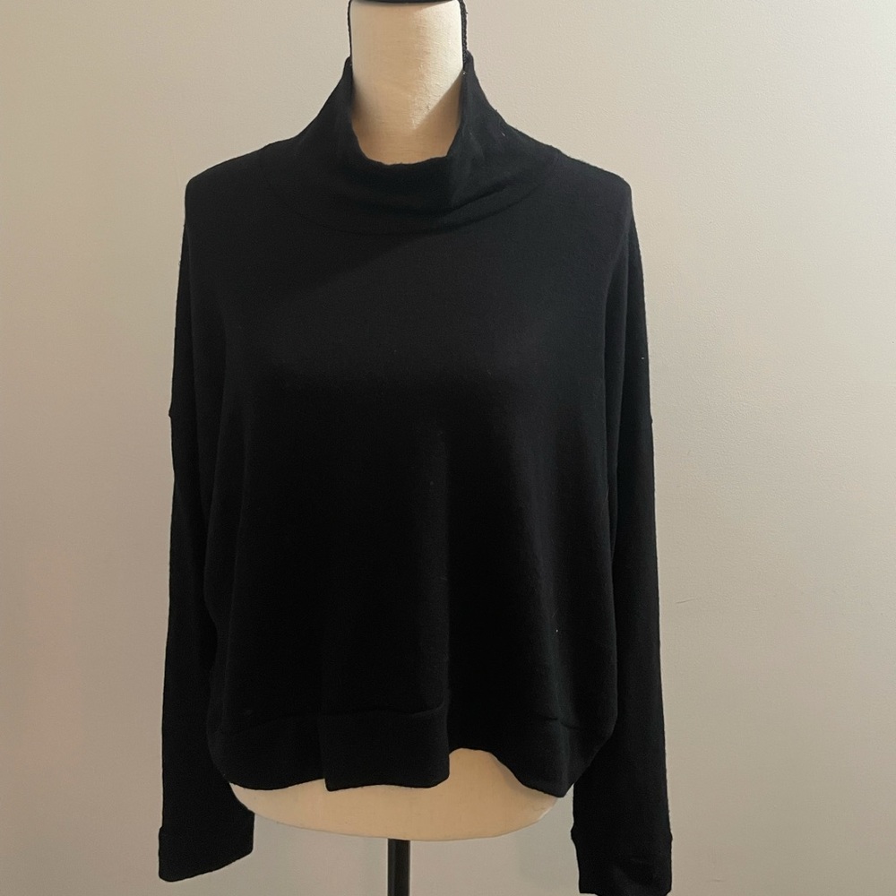 Splendid Cropped Turtleneck Sweatshirt